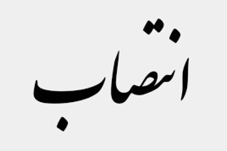 سرپرست جدید گروه آموزشی تربیت بدنی دانشگاه منصوب شد